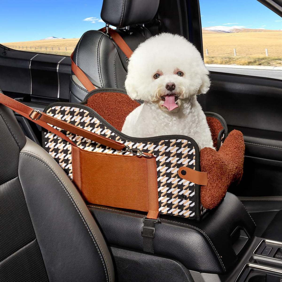 Cushioned car seat for small dogs