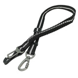Dog travel tether metal hardware detail
