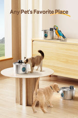 Pet water fountain for indoor everyday use