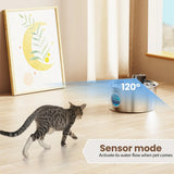 3L pet fountain feature view