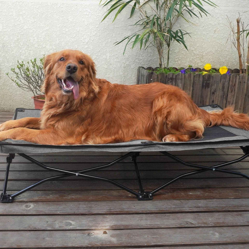 Large Foldable Dog Bed – Double-Layer Portable Lounger